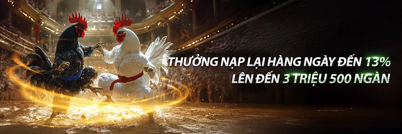 Đá Gà Trực Tuyến Fabet với Khuyến Mãi Hấp Dẫn