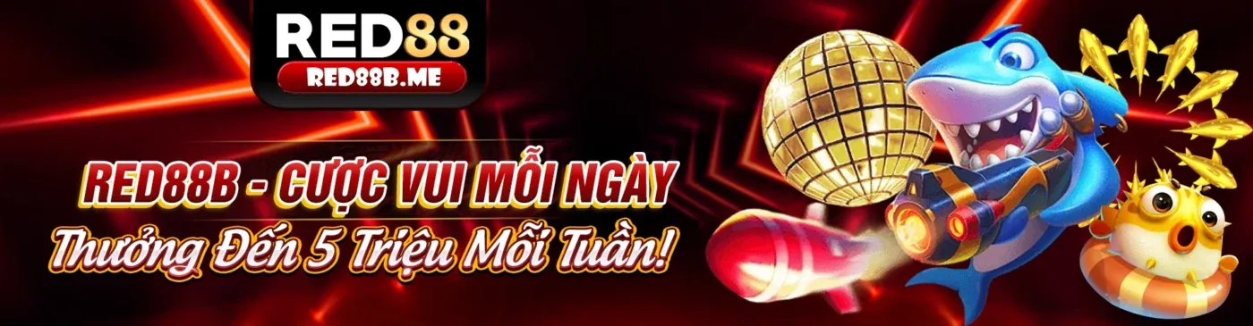 Điều khoản và điều kiện quan trọng của Fabet